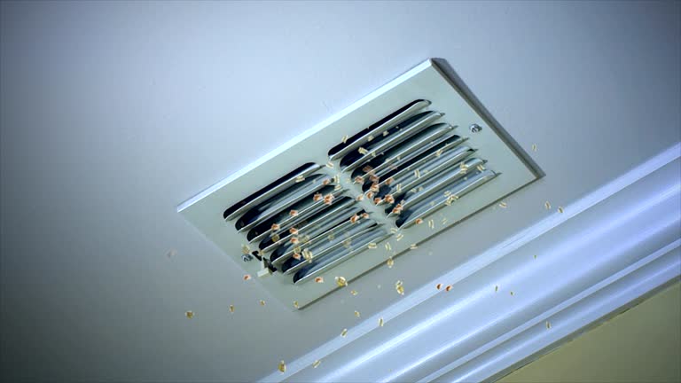Best Duct Cleaning for Homes  in Nellis Af, NV