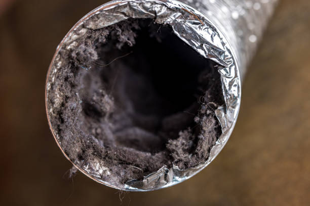 Best Air Duct Inspection  in Nellis Af, NV