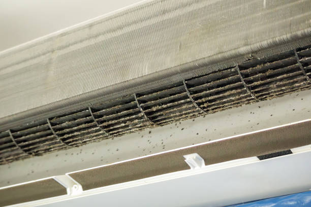 Best Air Duct Cleaning Near Me  in Nellis Af, NV